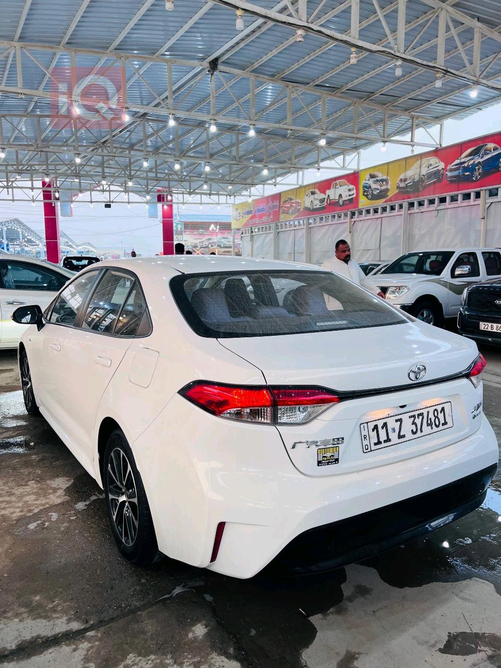 تويوتا كورولا